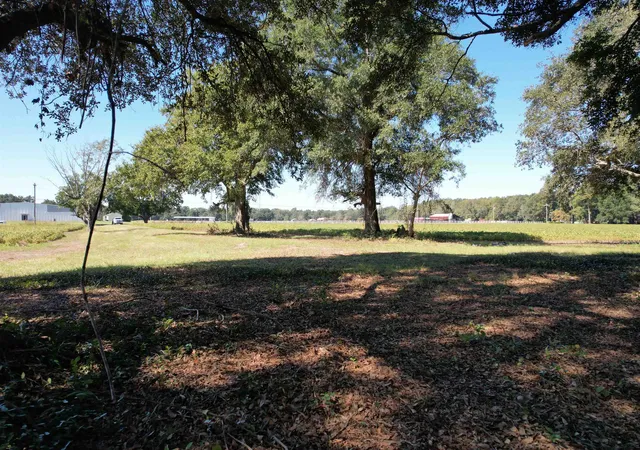 Photo 3 of Land for sale at Lot 2   Sumter Hwy, Kingstree, SC 29556 | MLS# 2624175 | Listing updated on 2026-10-01