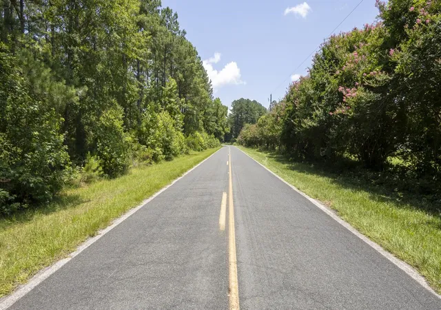 Land for sale at 0 Tom Cribb Rd, Hemingway, SC 29554 | MLS# 2624401