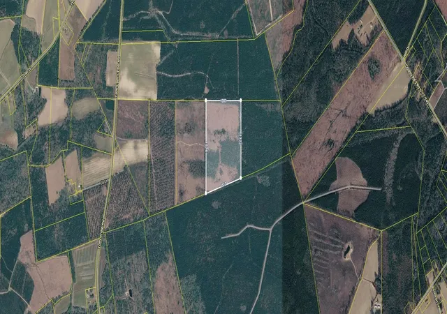 Photo 2 of Land for sale at 0 Tom Cribb Rd, Hemingway, SC 29554 | MLS# 2624401 | Listing updated on 2026-10-04