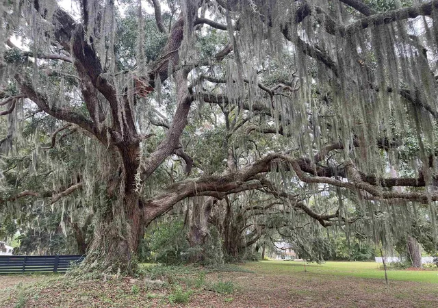 Photo 1 of Land for sale at Lot 50 Oak Bay Dr, Georgetown, SC 29440 | MLS# 2624405 | Listing updated on 2026-10-07