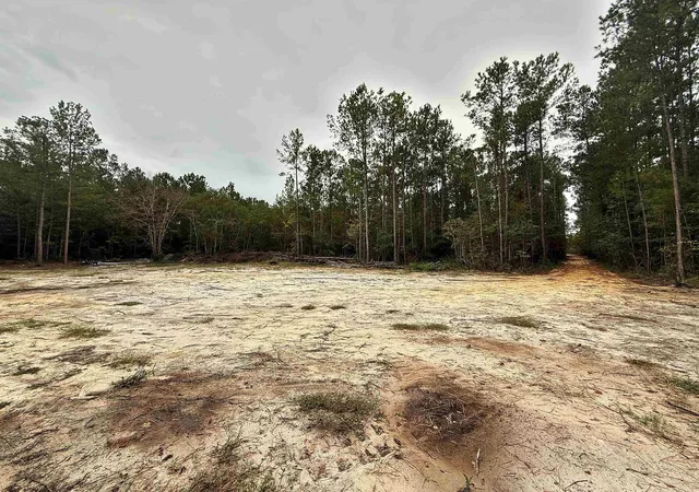 Land for sale at 1682 Carriage Dr, Loris, SC 29569 | MLS# 2624447