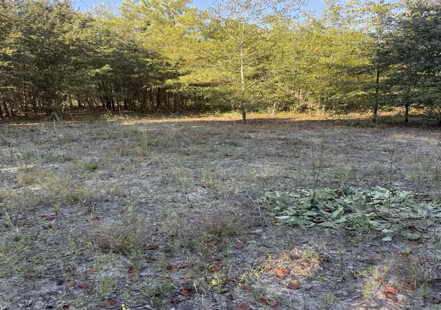 Photo 2 of Land for sale at 7506 Hwy 501 Business, Latta, SC 29565 | MLS# 2624520 | Listing updated on 2026-10-06