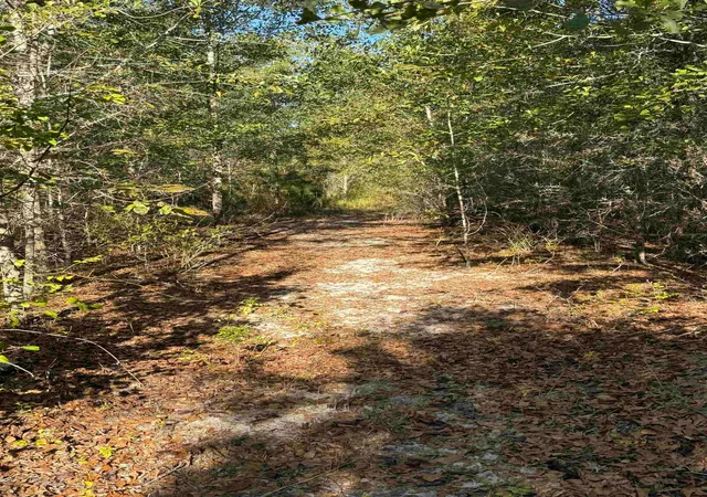 Photo 4 of Land for sale at 7506 Hwy 501 Business, Latta, SC 29565 | MLS# 2624520 | Listing updated on 2026-10-06