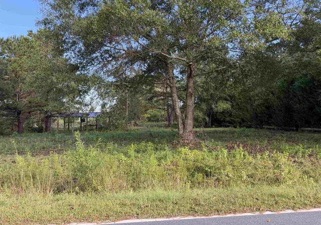 Photo 1 of Sale Pending at Tract 3 Wise Rd, Conway, SC 29526 | MLS# 2624564 | Listing updated on 2026-10-06