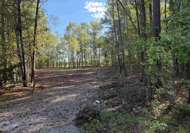 Photo 3 of Sale Pending at Tract 4 Wise Rd, Conway, SC 29526 | MLS# 2624567 | Listing updated on 2026-10-08