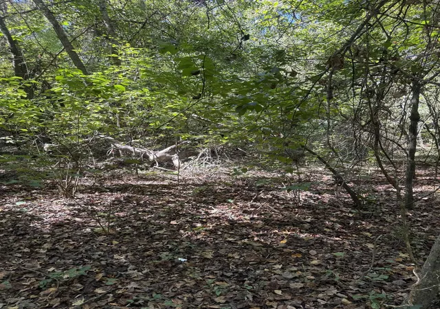 Photo 2 of Land for sale at Tbd Tyler Rd, Marion, SC 29571 | MLS# 2624594 | Listing updated on 2026-10-07