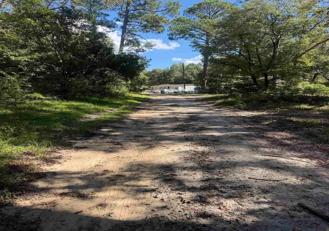 Photo 3 of Land for sale at Tbd Tyler Rd, Marion, SC 29571 | MLS# 2624594 | Listing updated on 2026-10-07