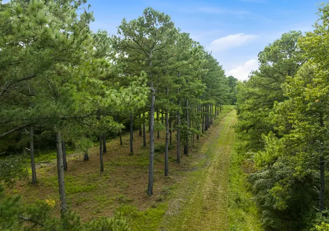 Photo 2 of Land for sale at 1569 Dave Plowden Pond Rd, Manning, SC 29102 | MLS# 2624616 | Listing updated on 2026-10-07