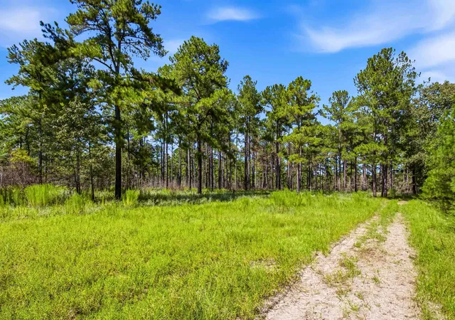 Photo 3 of Land for sale at 1569 Dave Plowden Pond Rd, Manning, SC 29102 | MLS# 2624616 | Listing updated on 2026-10-07