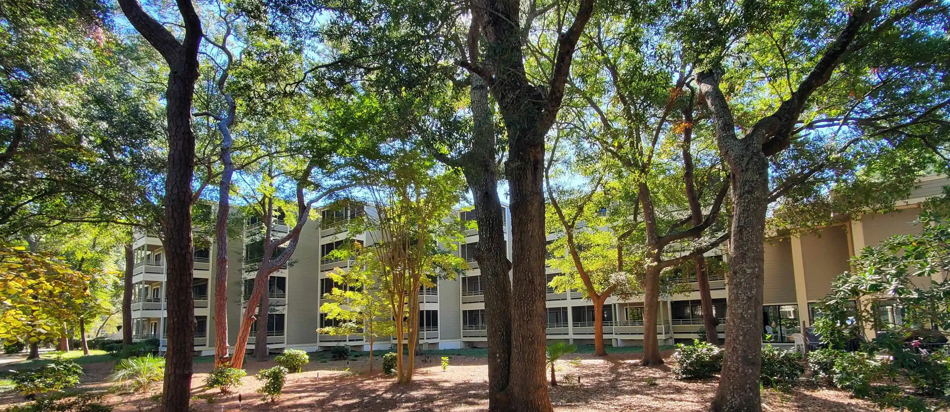 Condo for sale at 415 Ocean Crk Dr #2343, Myrtle Beach, SC 29572 | MLS# 2626446