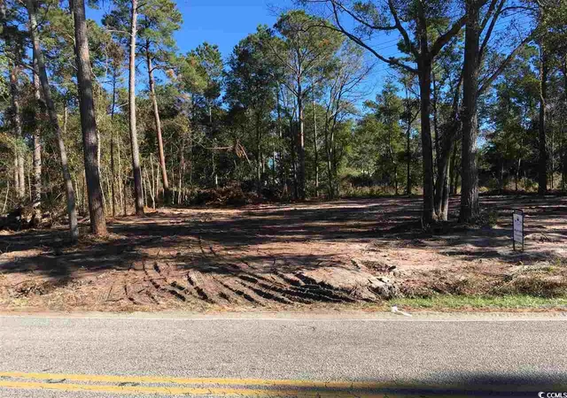 2nd image of 00 Petigru Dr, Pawleys Island, SC 29585 | MLS# 1403359