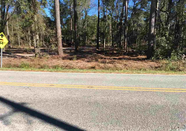 3rd image of 00 Petigru Dr, Pawleys Island, SC 29585 | MLS# 1403359