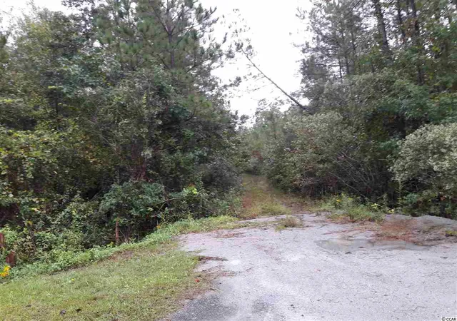 Photo 4 of Land for sale at Tract 1 Hwy 9, North Myrtle Beach, SC 29582 | MLS# 1721536 | Listing updated on 2026-07-01