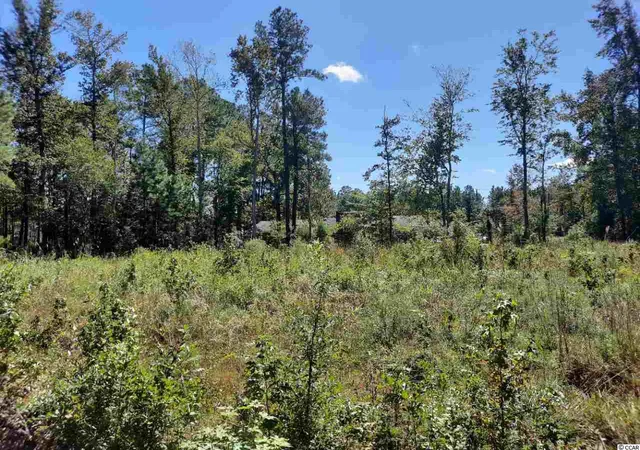 Homes for sale in Hemingway, SC | Lot 60 E Wisteria Dr, Hemingway, SC 29554 | MLS# 2021311