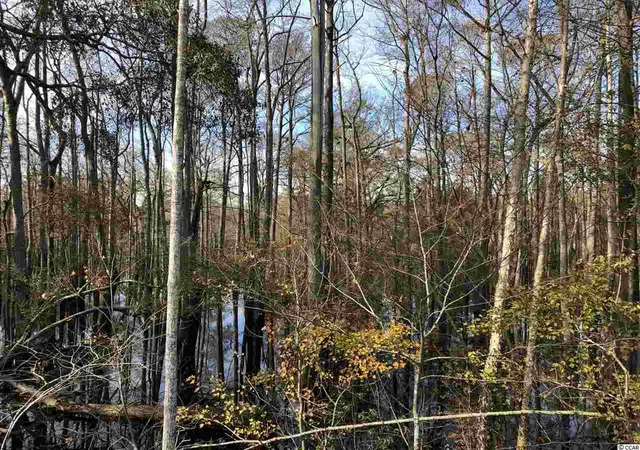 Photo 3 of Land for sale at 10A Bear Bluff Dr, Conway, SC 29526 | MLS# 2025603 | Listing updated on 2025-12-03
