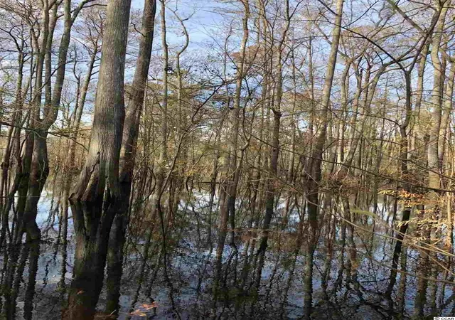 Photo 4 of Land for sale at 10A Bear Bluff Dr, Conway, SC 29526 | MLS# 2025603 | Listing updated on 2025-12-03
