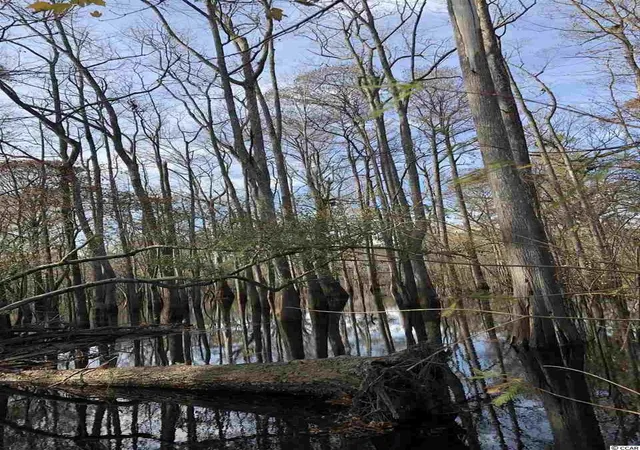 Photo 5 of Land for sale at 10A Bear Bluff Dr, Conway, SC 29526 | MLS# 2025603 | Listing updated on 2025-12-03
