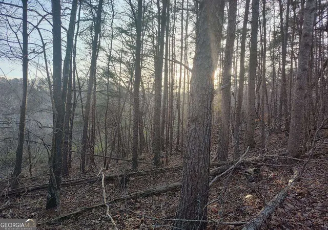 Photo 3 of Land for sale at 1058 Mayfield Ln, Ranger, GA 30734 | MLS# 10685978 | Listing updated on 2026-02-19