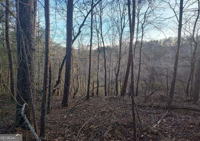 Photo 3 of Land for sale at 1058 Mayfield Ln, Ranger, GA 30734 | MLS# 10685978 | Listing updated on 2026-02-19