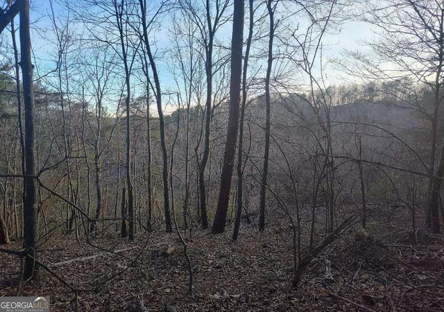 Photo 4 of Land for sale at 1058 Mayfield Ln, Ranger, GA 30734 | MLS# 10685978 | Listing updated on 2026-02-19