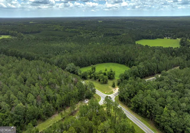 1st image of 0 Ga Hwy 169, Claxton, GA 30417 | MLS# 10817971