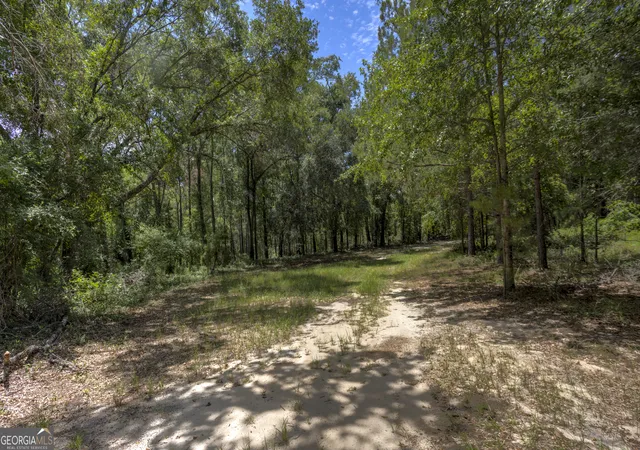 26th image of 0 Ga Hwy 169, Claxton, GA 30417 | MLS# 10817971