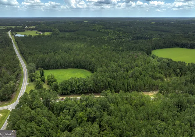 2nd image of 0 Ga Hwy 169, Claxton, GA 30417 | MLS# 10817971