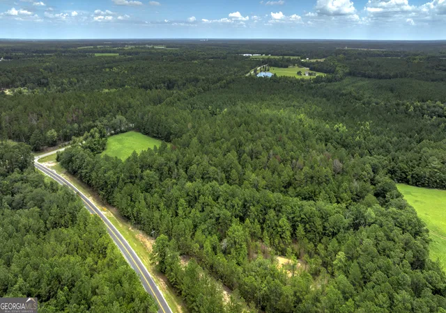 3rd image of 0 Ga Hwy 169, Claxton, GA 30417 | MLS# 10817971
