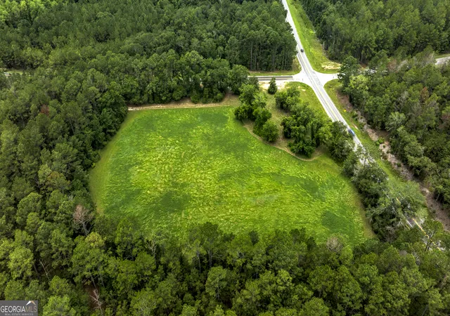 4th image of 0 Ga Hwy 169, Claxton, GA 30417 | MLS# 10817971