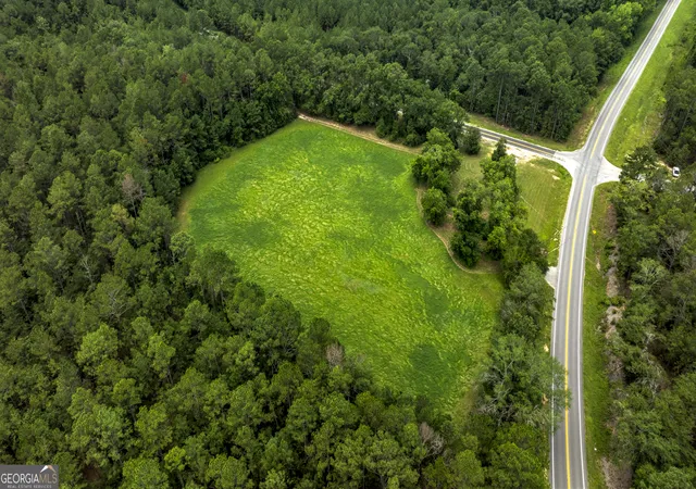 5th image of 0 Ga Hwy 169, Claxton, GA 30417 | MLS# 10817971