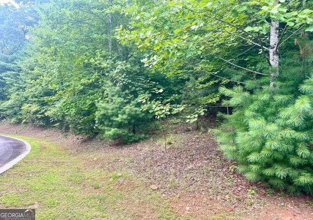 2nd image of Lot 19 Wagstaff Way, Clayton, GA 30525 | MLS# 10613928
