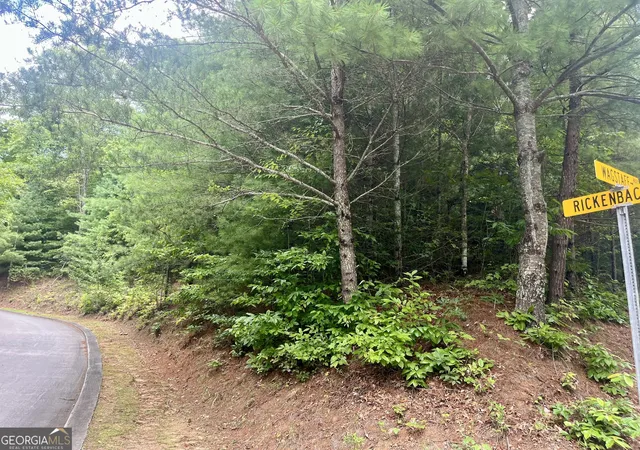 3rd image of Lot 19 Wagstaff Way, Clayton, GA 30525 | MLS# 10613928