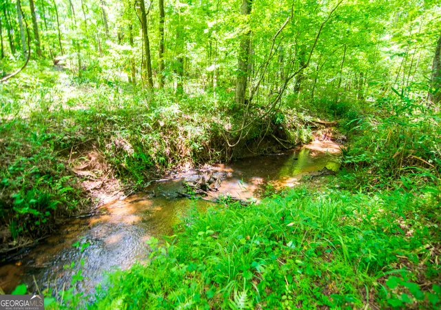 Homes for sale in Pine Mountain, GA | 0 White Road, Pine Mountain, GA 31822 | MLS# 10781842