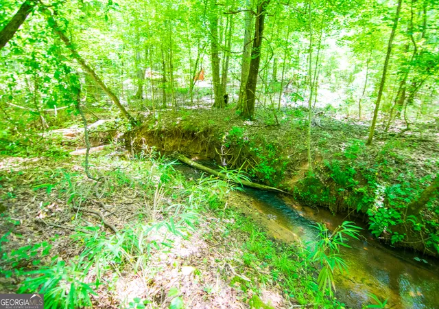 Homes for sale in Pine Mountain, GA | 0 White Road, Pine Mountain, GA 31822 | MLS# 10781842