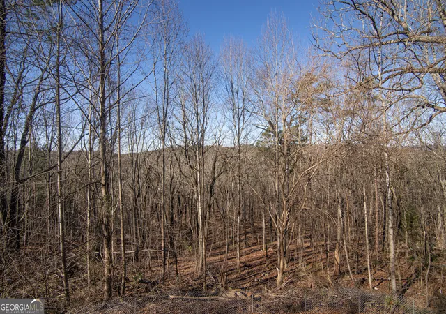 30th image of 22 Coventry Dr Se, Rome, GA 30161 | MLS# 10258155