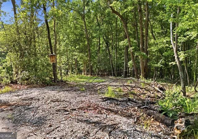 Photo 3 of Land for sale at 52 Timberlake Ct, Toccoa, GA 30577 | MLS# 10793587 | Listing updated on 2026-07-16