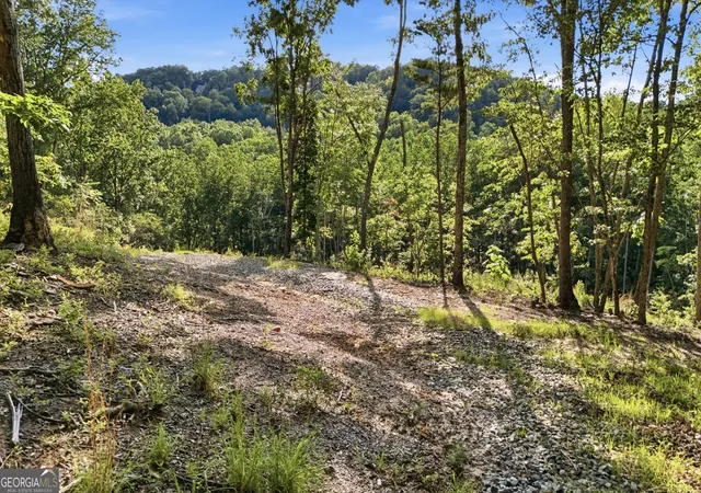 Photo 4 of Land for sale at 52 Timberlake Ct, Toccoa, GA 30577 | MLS# 10793587 | Listing updated on 2026-07-16