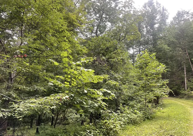 Photo 3 of Sale Pending at 255 Oxford Cir Ne, Ranger, GA 30734 | MLS# 10182316 | Listing updated on 2026-01-29