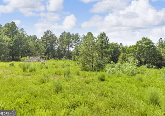 14th image of 0 Hornets Bridge Road, Elberton, GA 30635 | MLS# 10817716