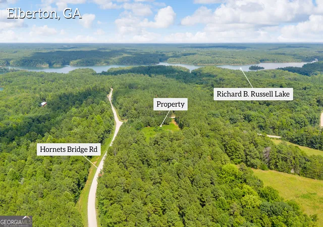 1st image of 0 Hornets Bridge Road, Elberton, GA 30635 | MLS# 10817716