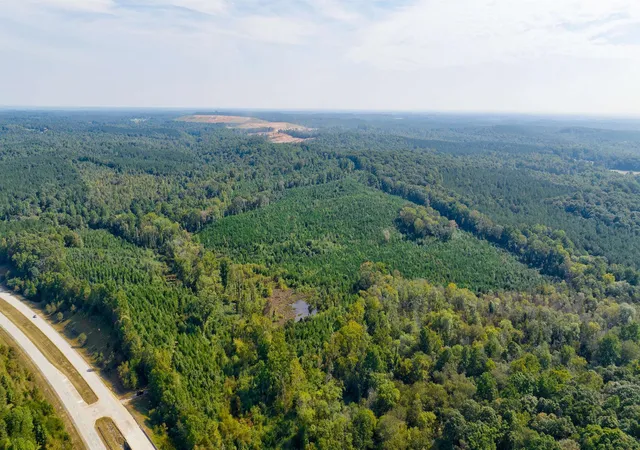4th image of 0 Mccoy Bridge Rd, Homer, GA 30547 | MLS# 20148799