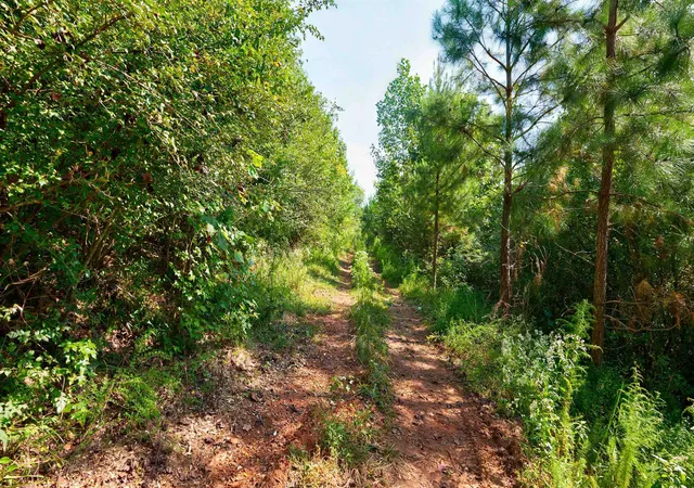 5th image of 0 Mccoy Bridge Rd, Homer, GA 30547 | MLS# 20148799