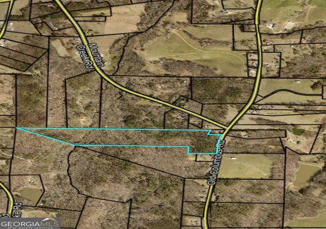 1st image of 00 Old Columbus Rd, Bowdon, GA 30108 | MLS# 10719418