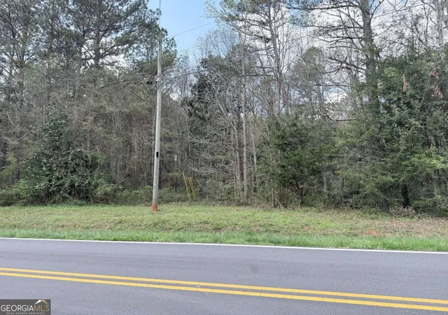 3rd image of 00 Old Columbus Rd, Bowdon, GA 30108 | MLS# 10719418