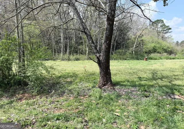 4th image of 00 Old Columbus Rd, Bowdon, GA 30108 | MLS# 10719418