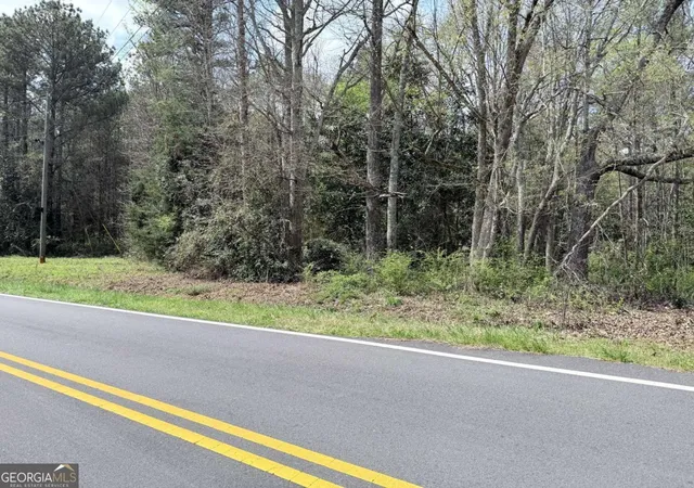 5th image of 00 Old Columbus Rd, Bowdon, GA 30108 | MLS# 10719418