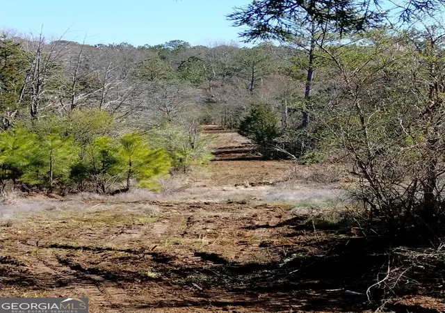 Photo 1 of Land for sale at 0 Costley Ml Rd, Conyers, GA 30013 | MLS# 10686878 | Listing updated on 2026-08-14
