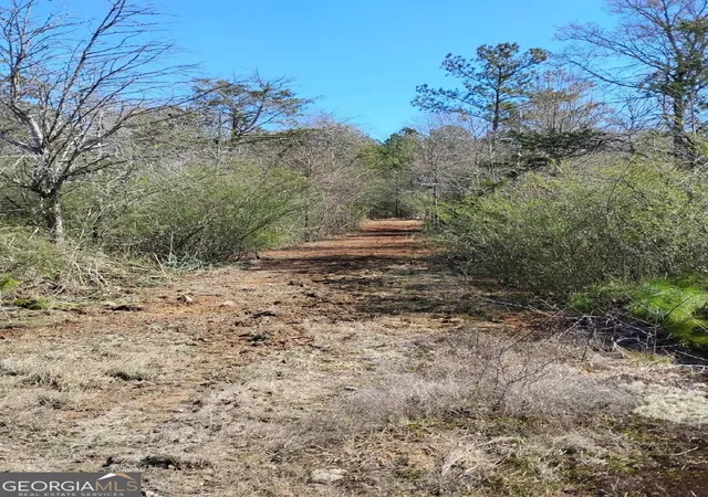 Photo 2 of Land for sale at 0 Costley Ml Rd, Conyers, GA 30013 | MLS# 10686878 | Listing updated on 2026-08-14