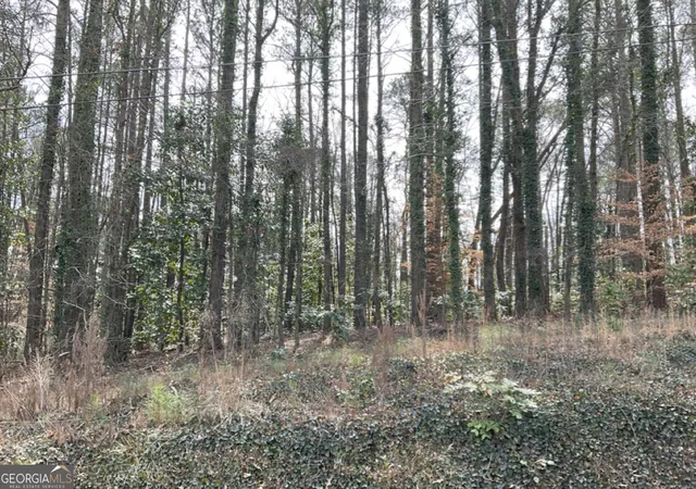 1st image of 0 Head Ave, Tallapoosa, GA 30176 | MLS# 10826928