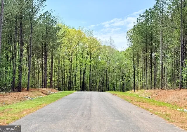 4th image of 186 Rolling Meadows Way, Waverly Hall, GA 31831 | MLS# 10761836